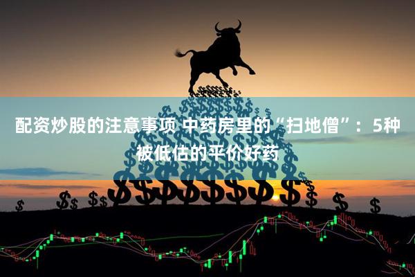 配资炒股的注意事项 中药房里的“扫地僧”：5种被低估的平价好药