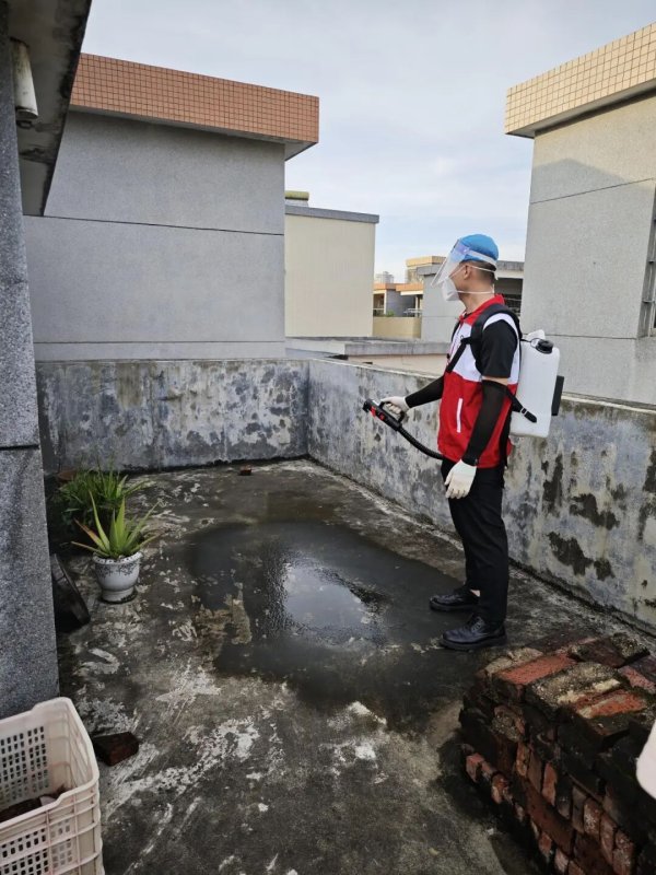 十大配资公司排名 整治人居环境 全员灭蚊行动｜恩平市青年党员突击队迅速集结，“疫”线亮剑！